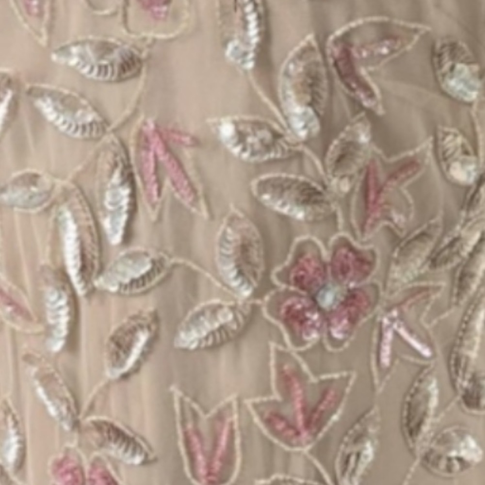 Adrianna Papell Sz 10, floor length, short sleeve, rose gown with sequins, beads - Picture 5 of 12